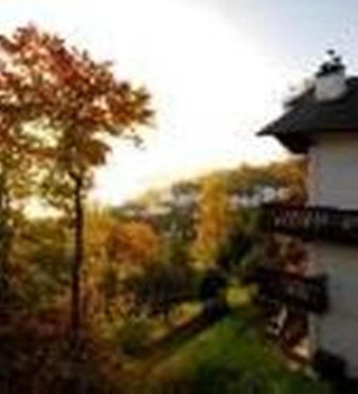 Hotel Du Lac Мон-Трамблан Номер фото